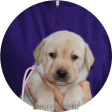 女の子(ピンク母マリー)